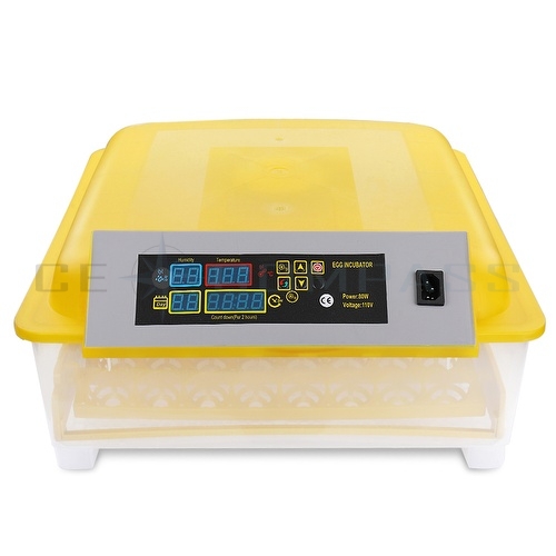 48 Digital Clear Egg Incubator Hatcher Temperature Control Automatic 
