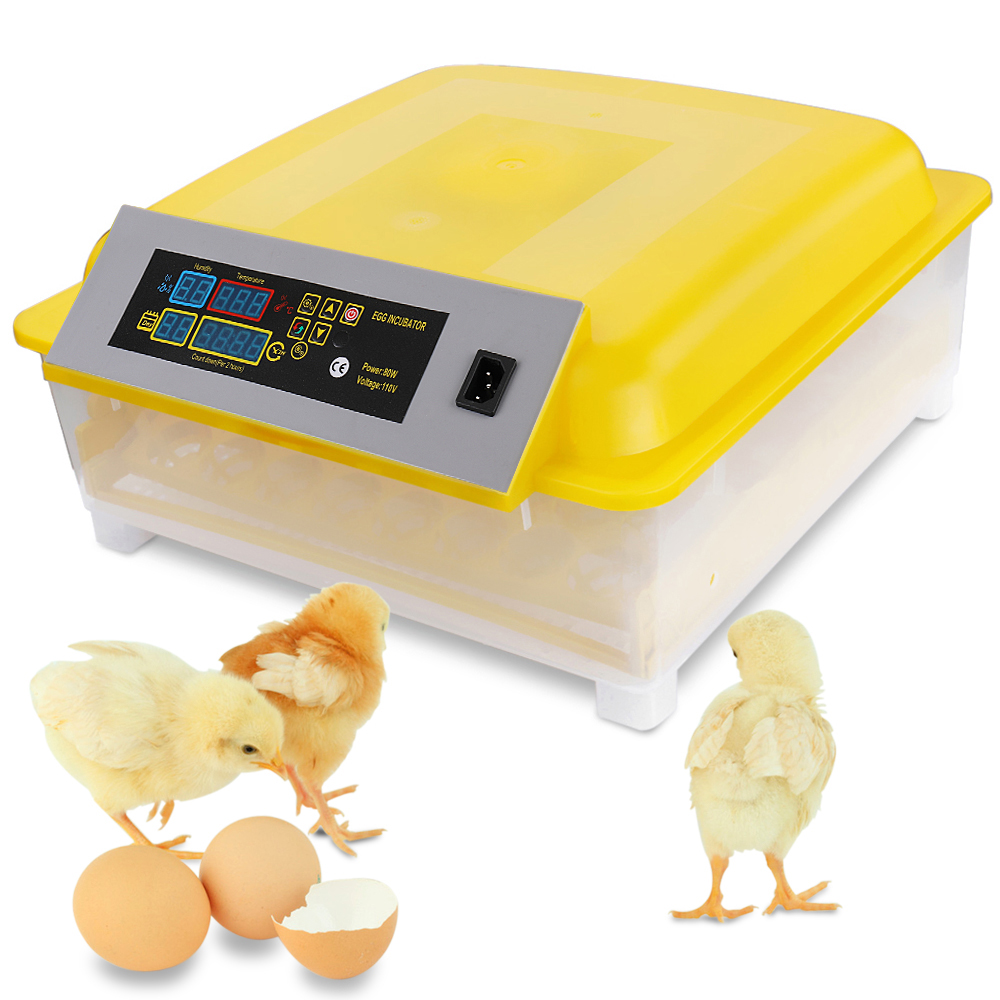 egg incubator temperature