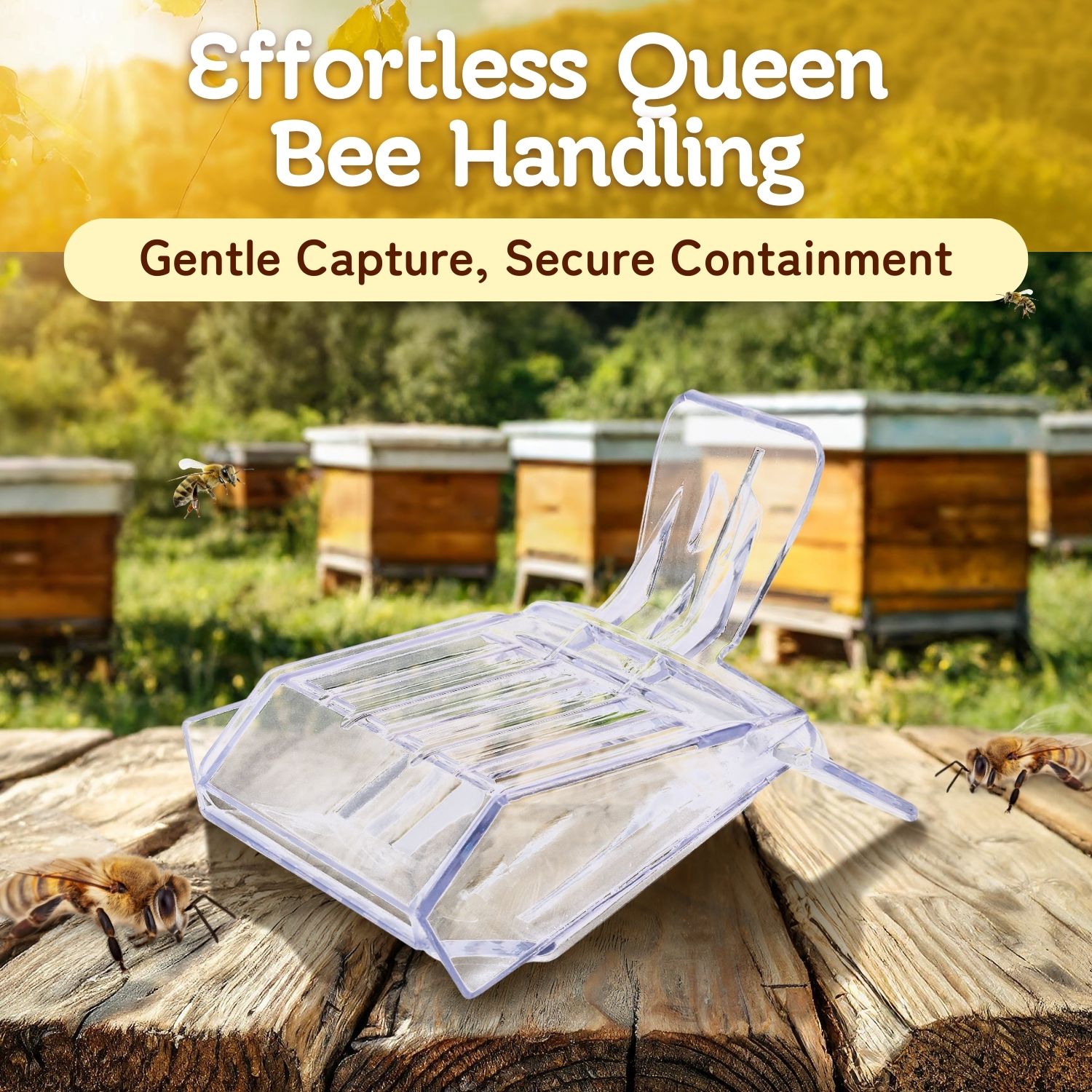 Secure Queen Bee Cage Clip - This queen cages for bees holder keeps your queen honeybee safely contained, making hive inspections, splits, & transfers easier for beekeepers