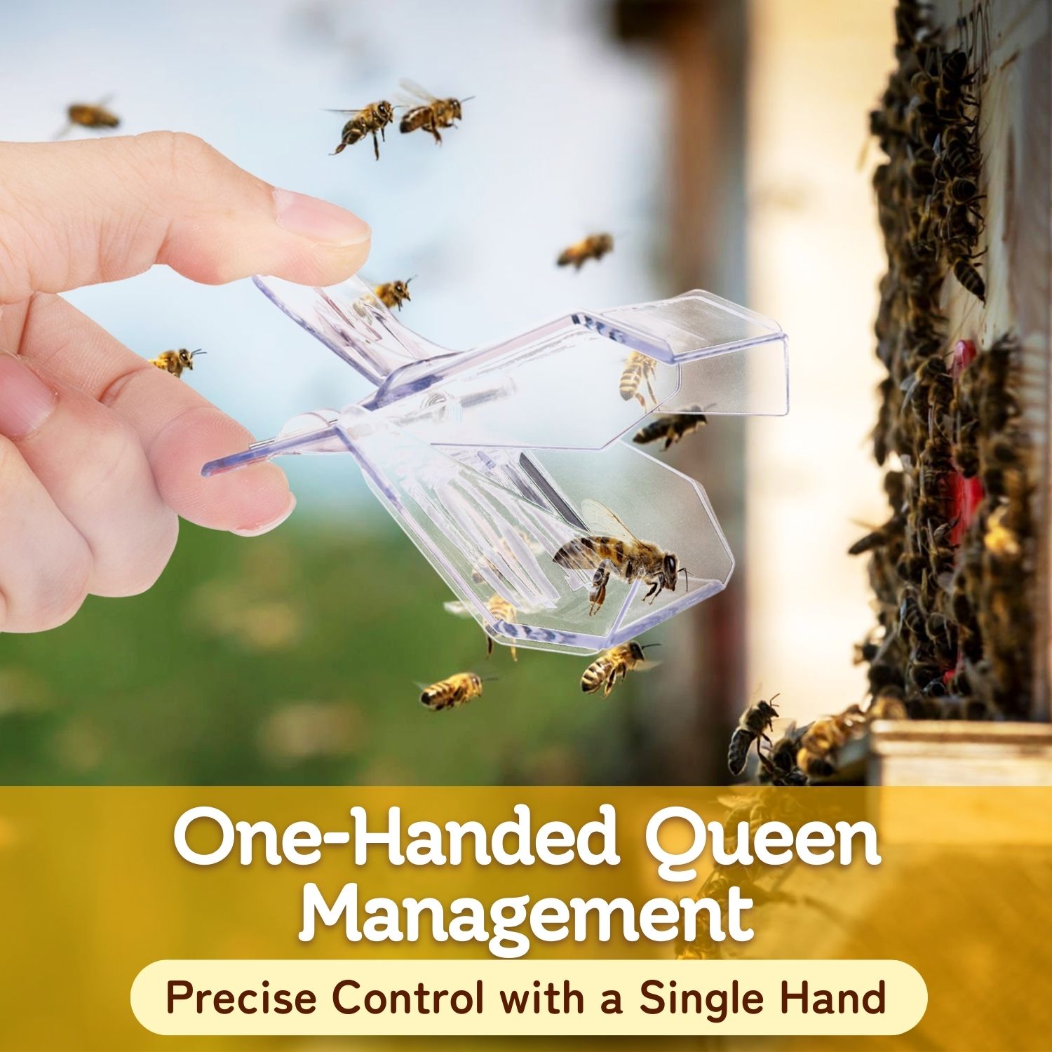 Breathable Slots for Queen Honeybee Clip - Built-in non-suffocating slots allow airflow, making it comfortable for the queen while giving access to worker bees