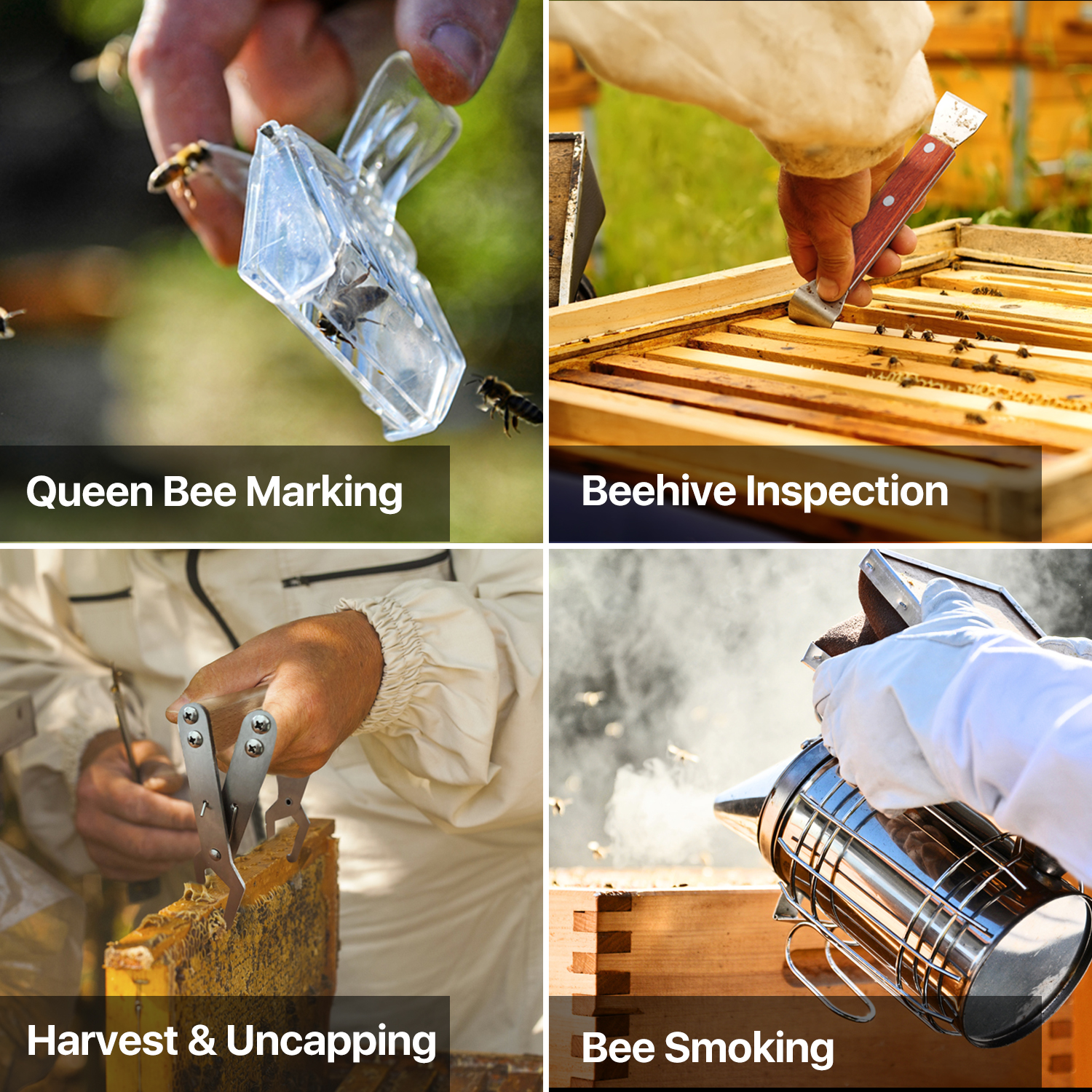 Beekeeping Supplies 10 Pcs Starter Kit Professional Equipment Beekeeper