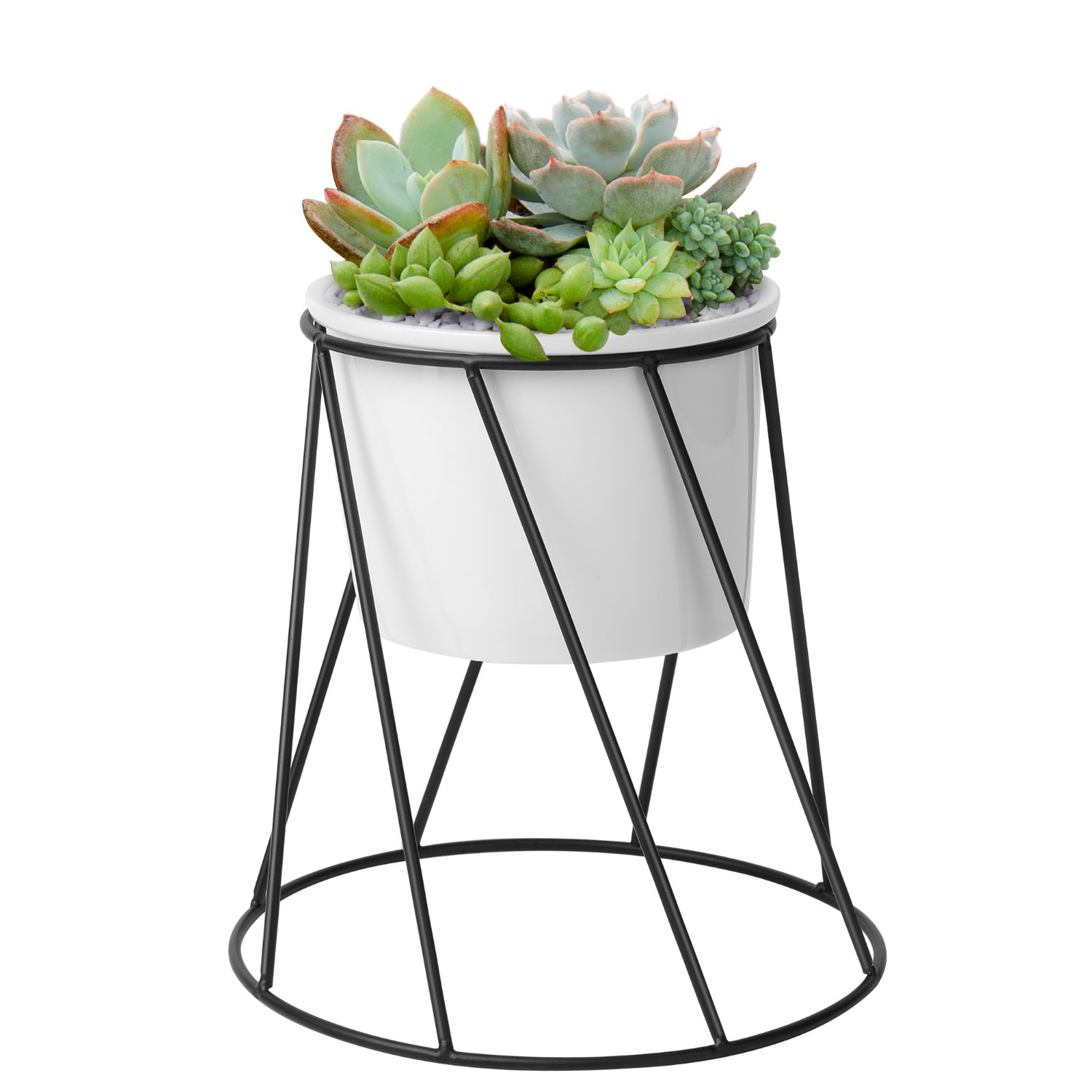 Featured image of post Round Planter On Stand - Give everyone green envy with modern planters and garden pots.