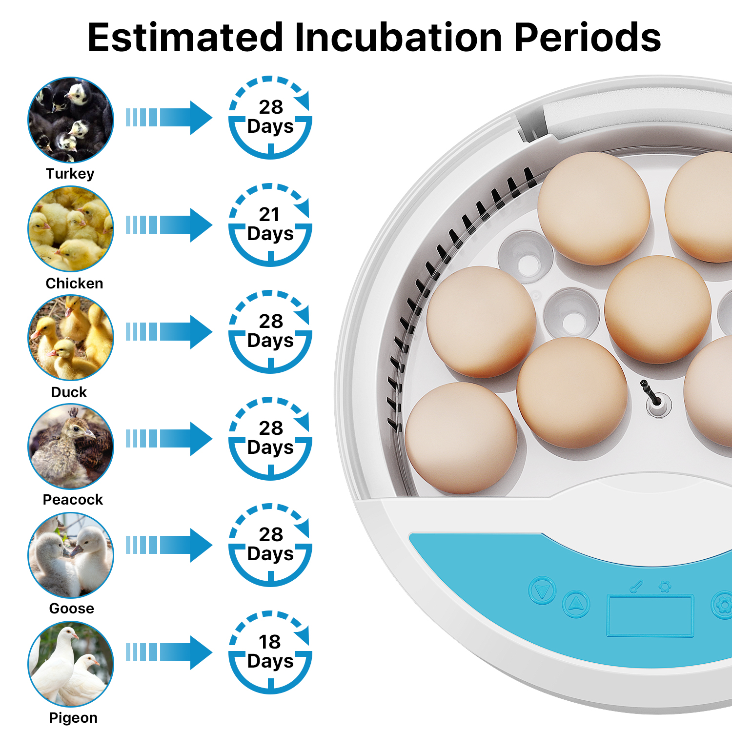 incubator temperature for chicken eggs celsius