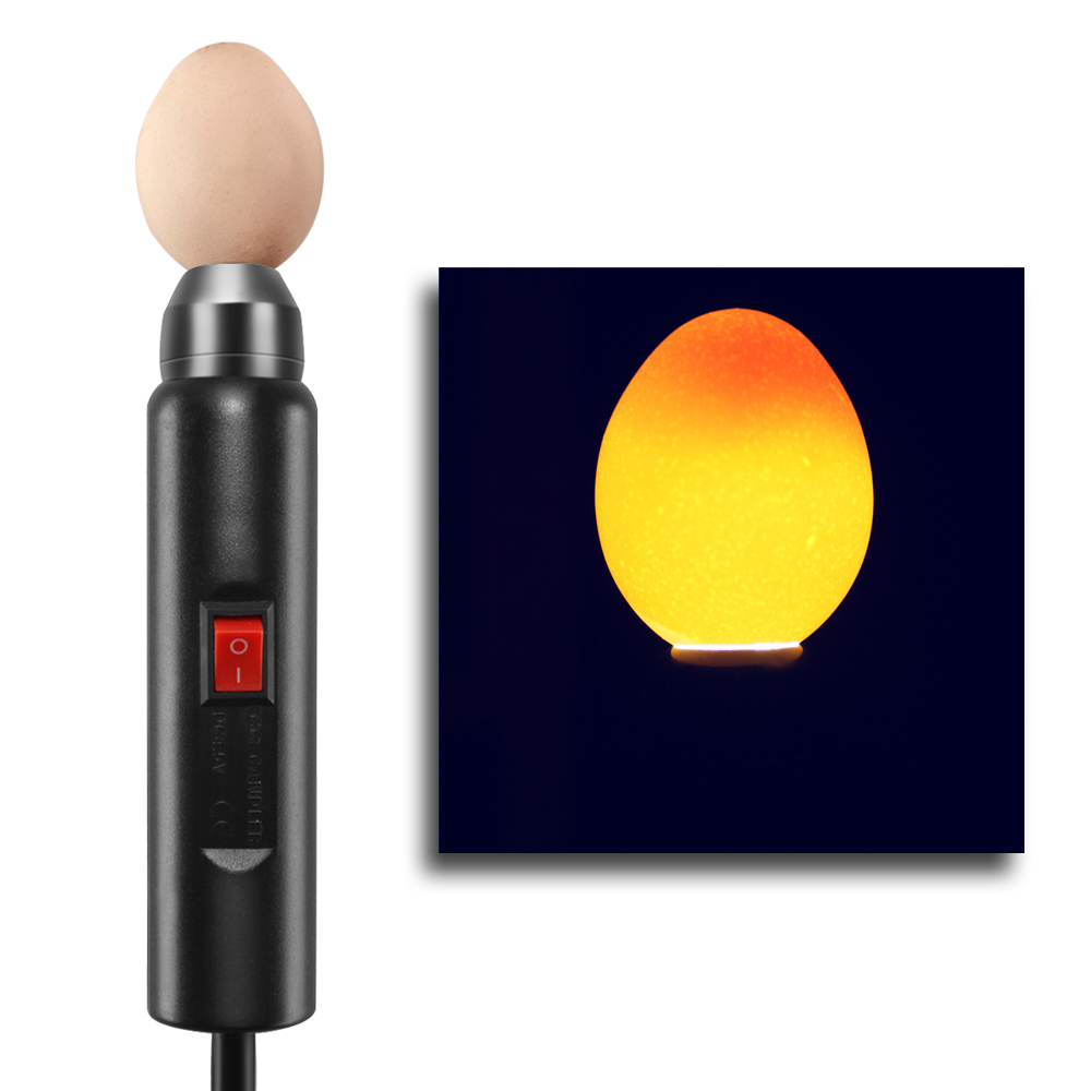 AU Plug Egg Candler Lamp LED Cool Light Chicken Duck Quail Hatching Candling Inc