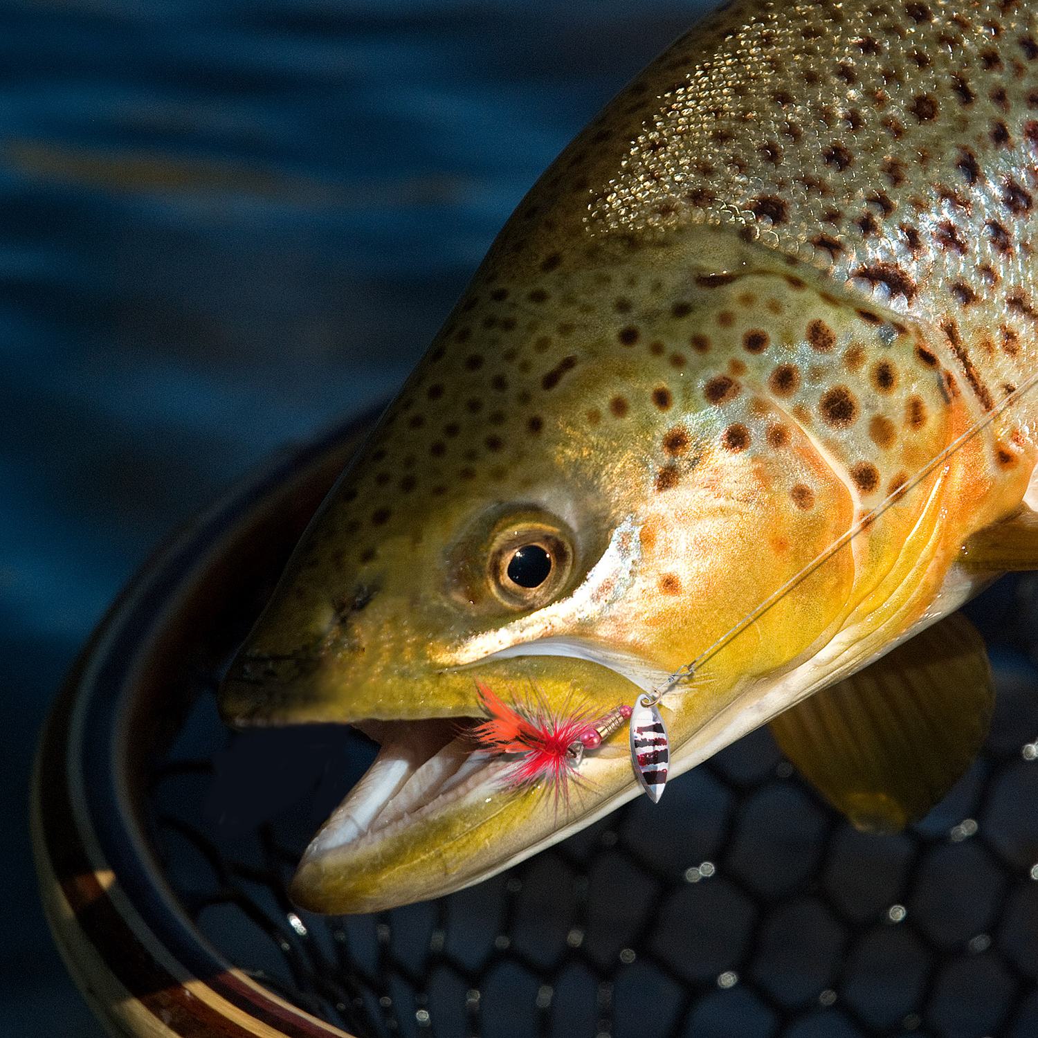 Fishing Lures SpinnerBaits Bass Lures, Salmon, Trout, Fishing 30pc