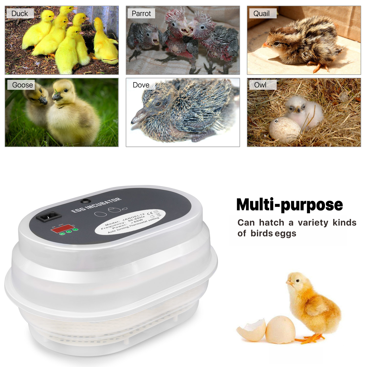 Egg Incubator Cabinet For Chicken - Digital Egg Hatcher ...