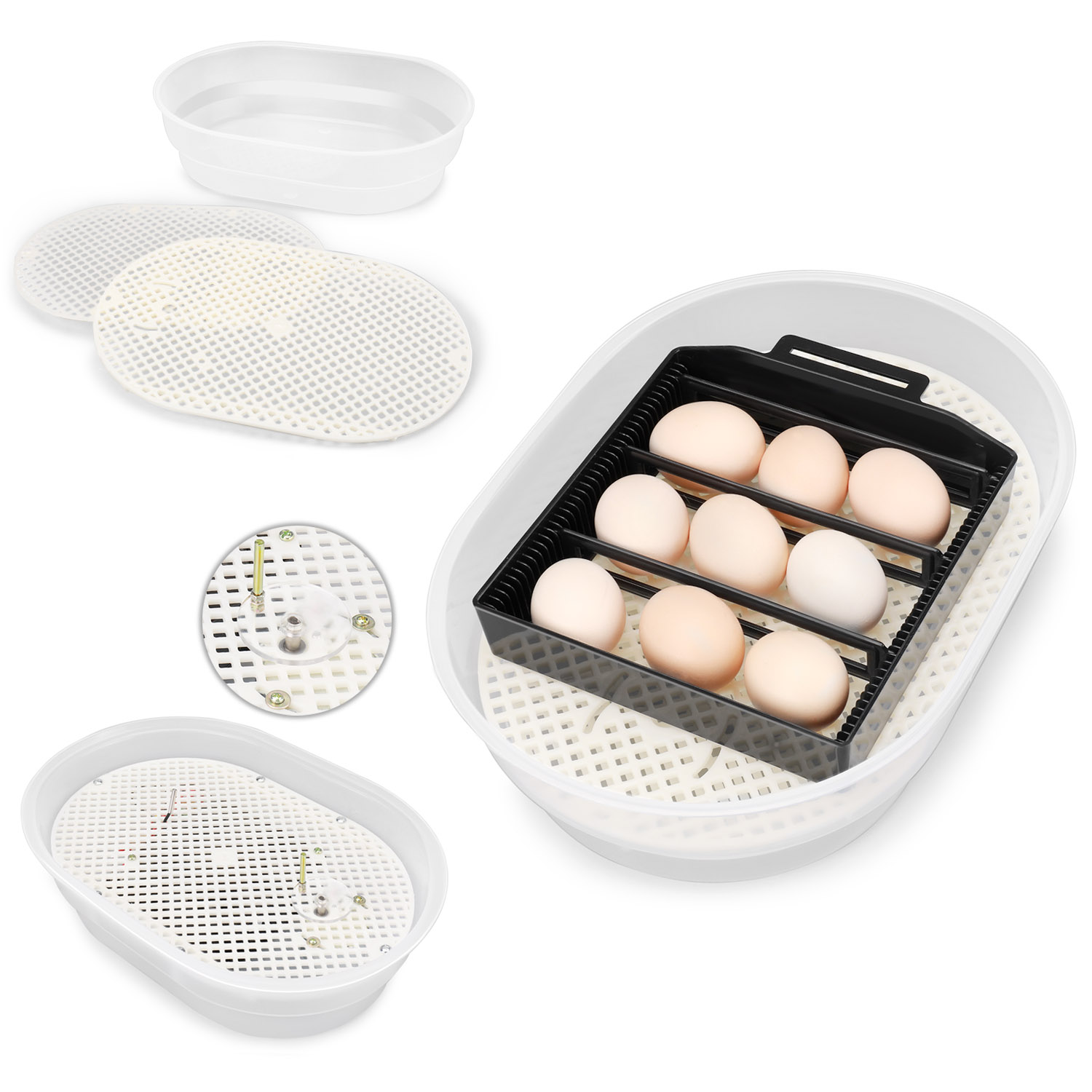 Egg Incubator Cabinet For Chicken - Digital Egg Hatcher ...