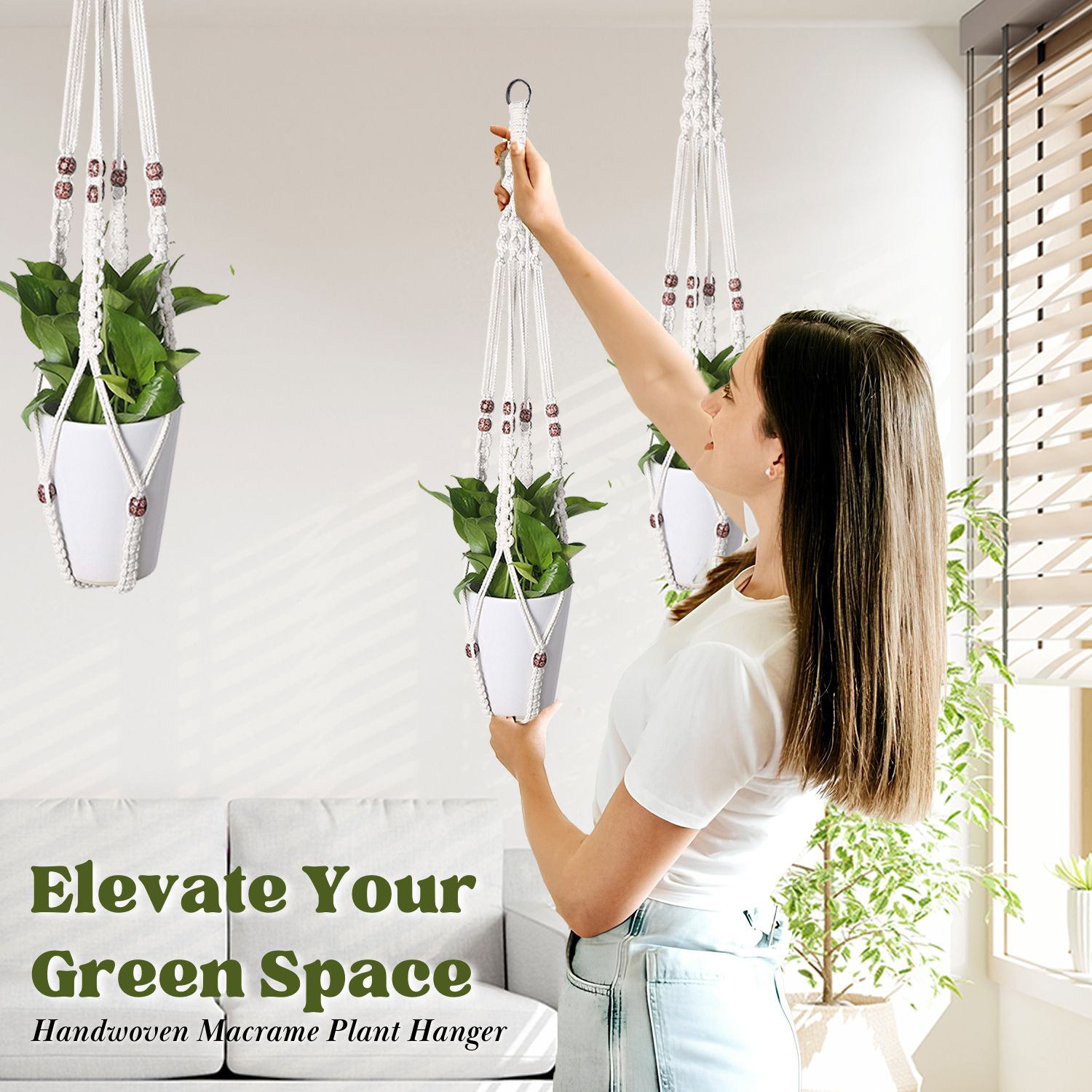 hanging planter fern Fern Boston