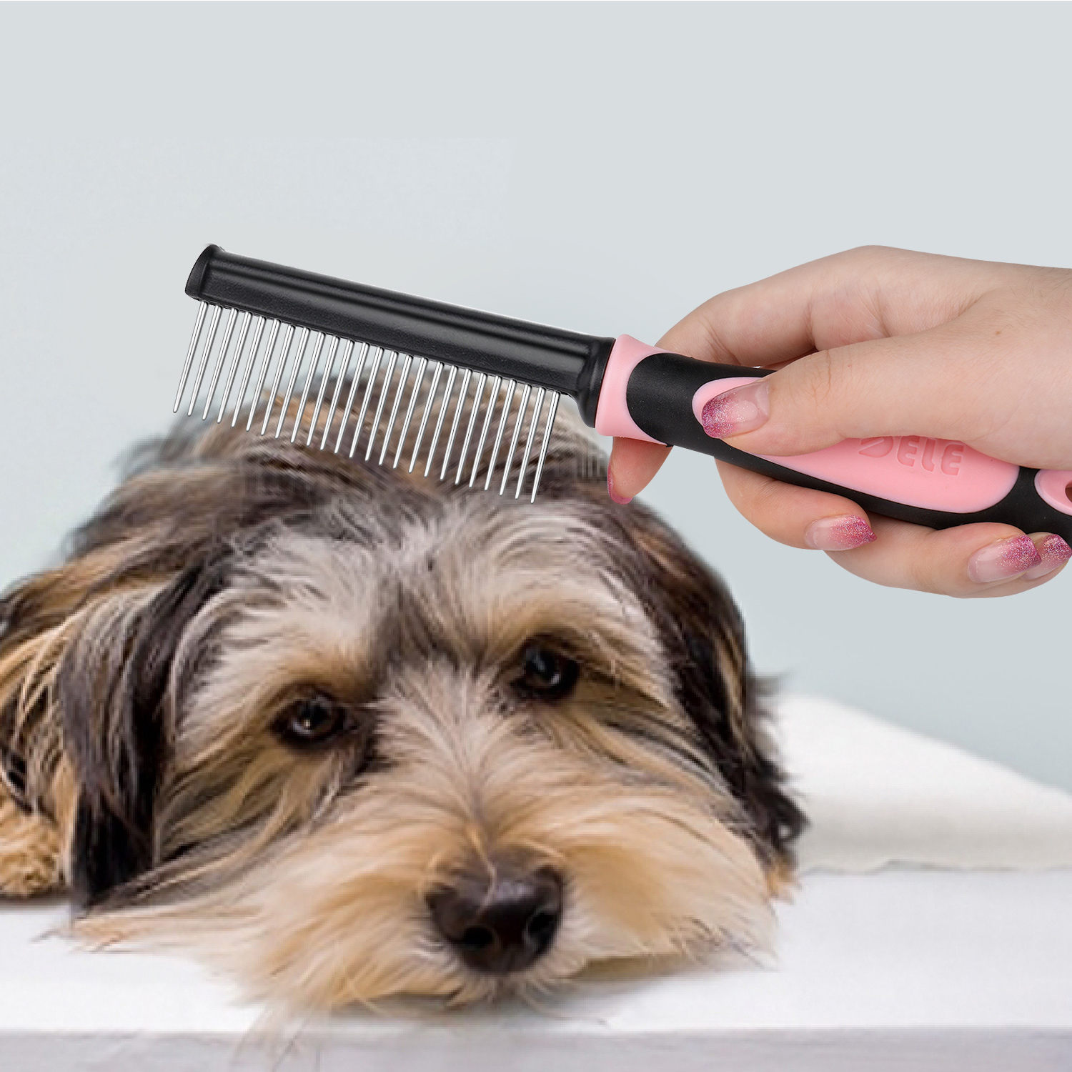 comb for puppy