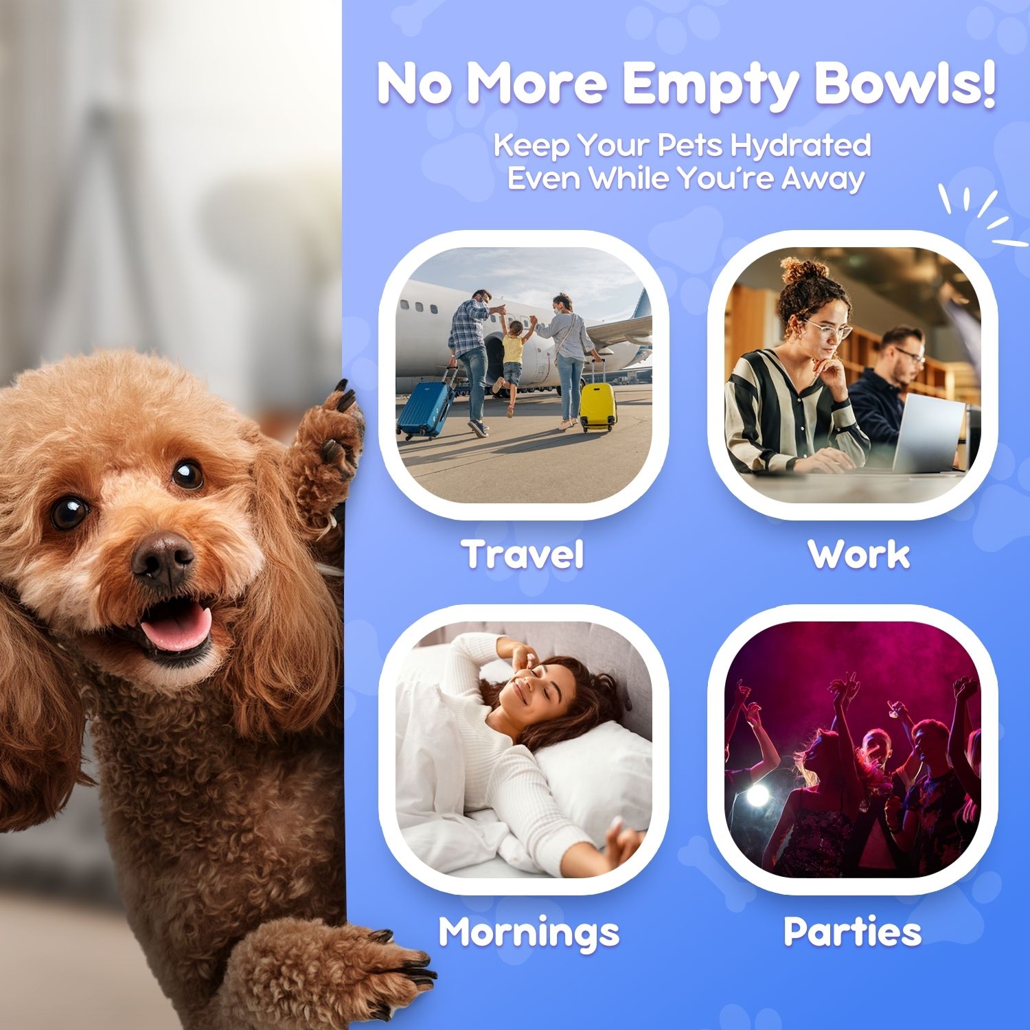 Pet Water Dispenser Station Self Replenish Waterer Drinking Fountain, 3