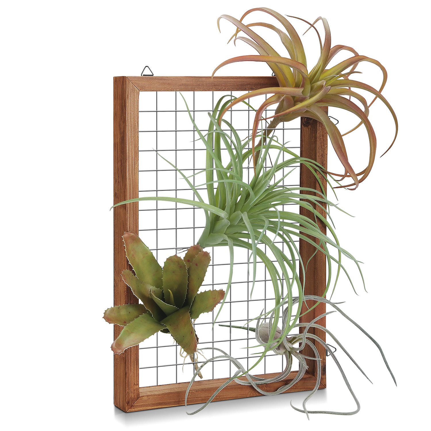 Air Plant Wooden Frame Wall Hanging Airplant Holder Wire